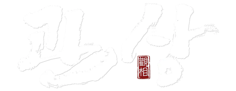 The Face Reader logo