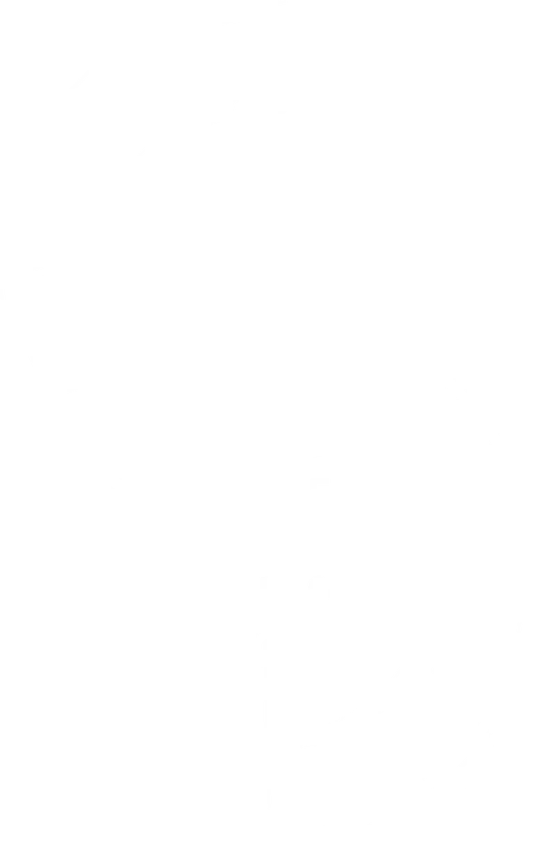 Zero Absoluto logo