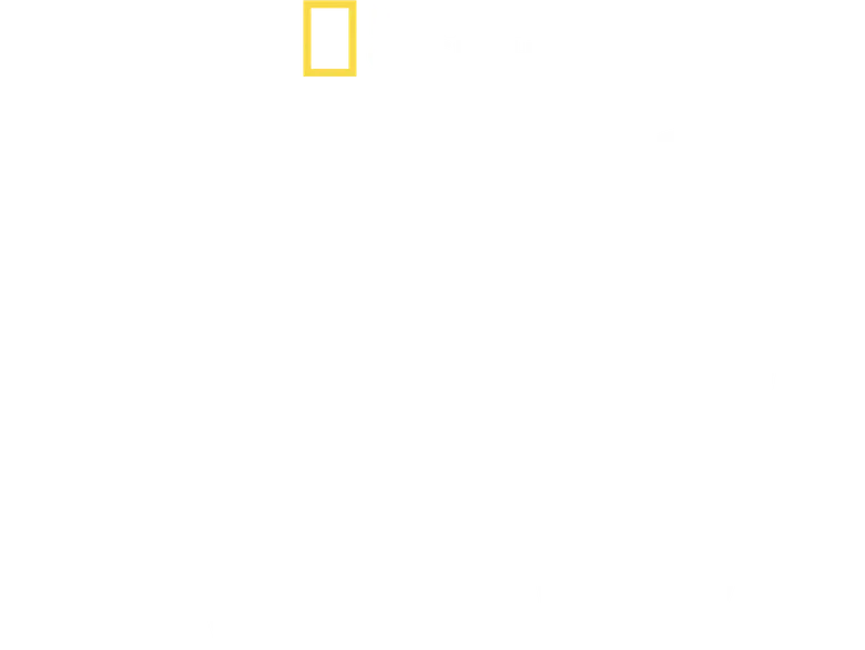 Tucci na Itália logo