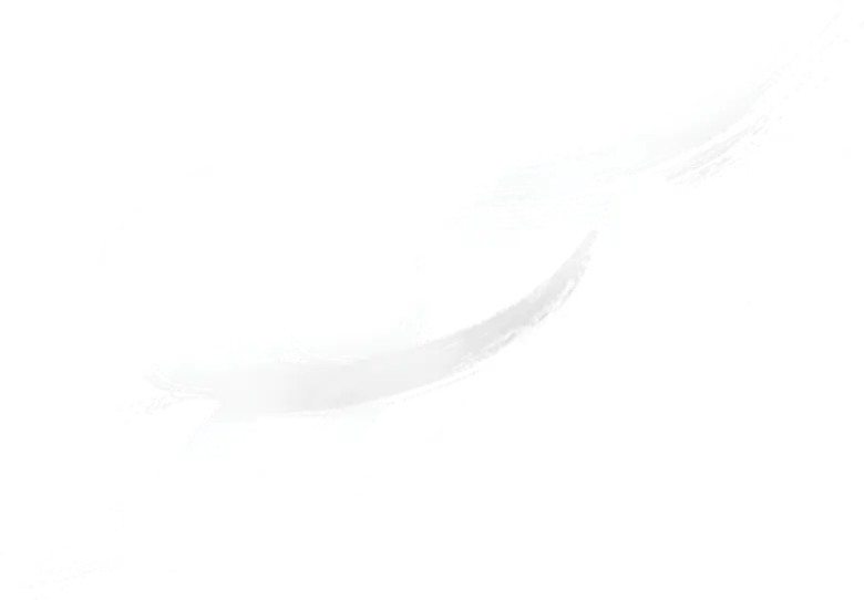 سووشون logo
