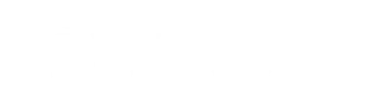 The Lowdown logo