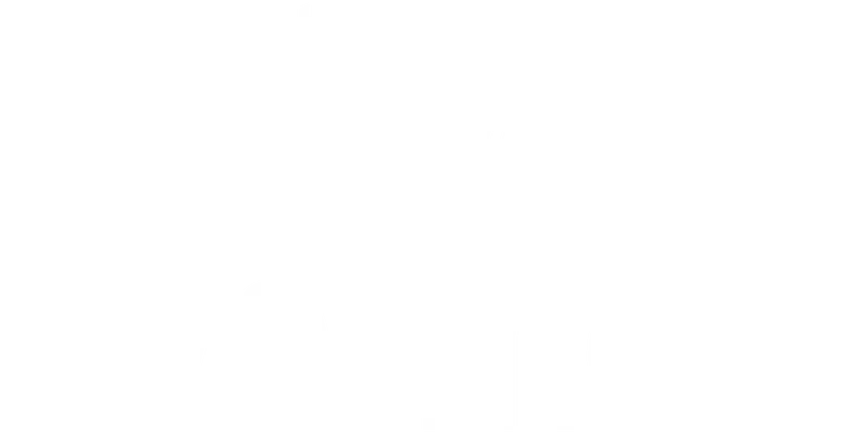 The Never Ever Mets logo