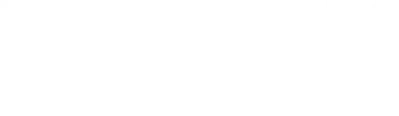 Limity logo