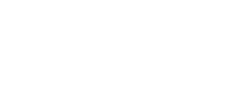 Secret Service logo