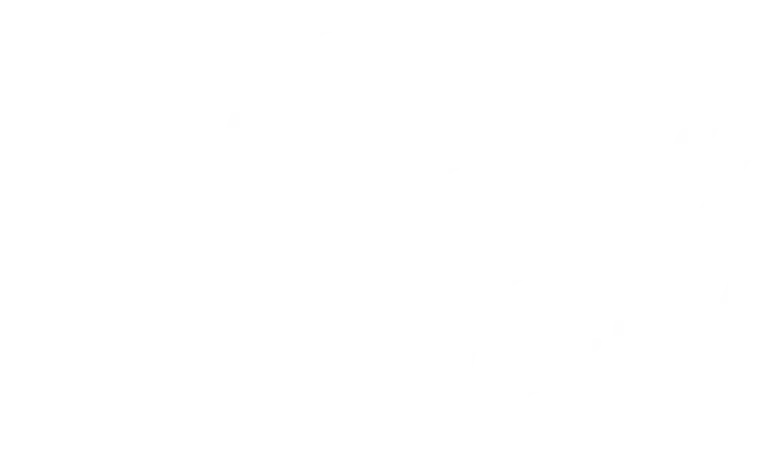 Lick logo