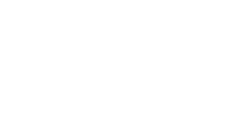 Small Town Setup logo