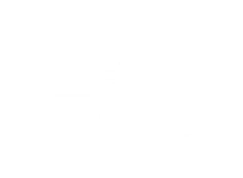 Penn Zero: Quase Herói logo