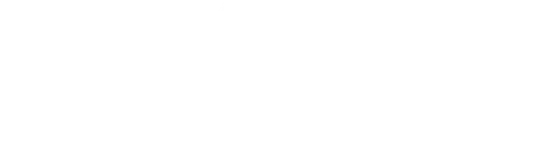 DMV logo