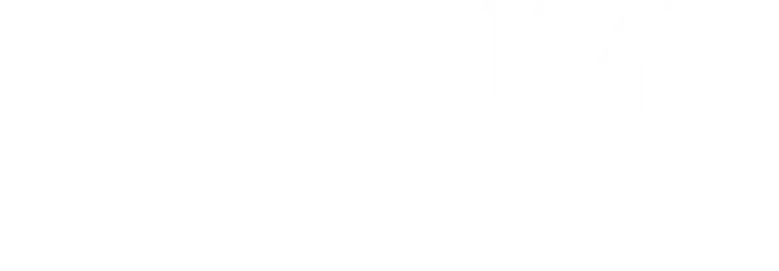 O Tempo da Febre logo
