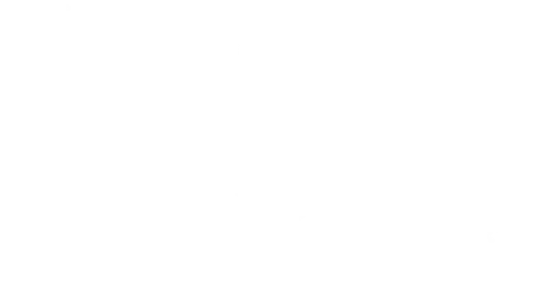 XX logo