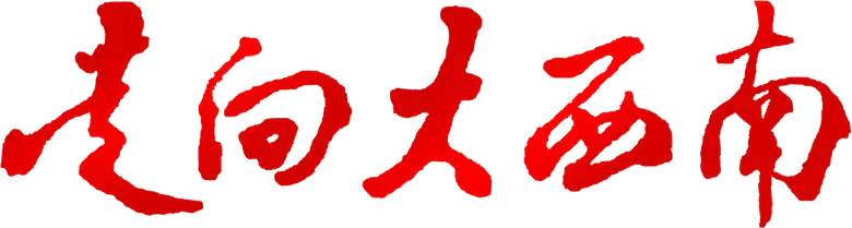 走向大西南 logo