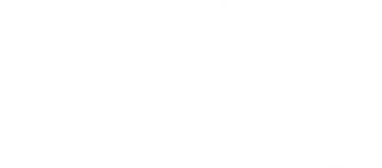 Ladies First logo