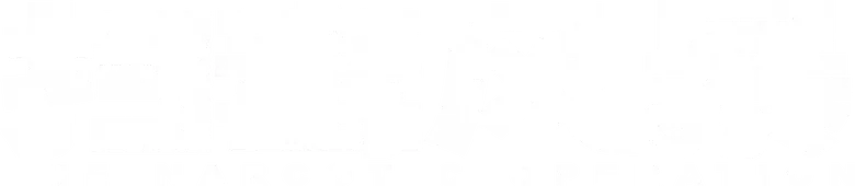 The Narcotic Operation logo