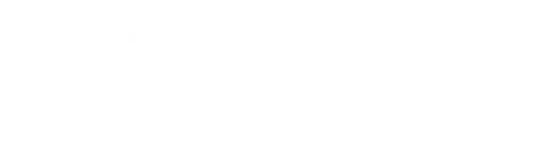 The Race logo