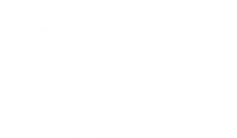 Feride logo