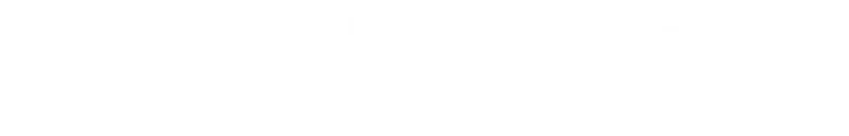 Bodycam logo