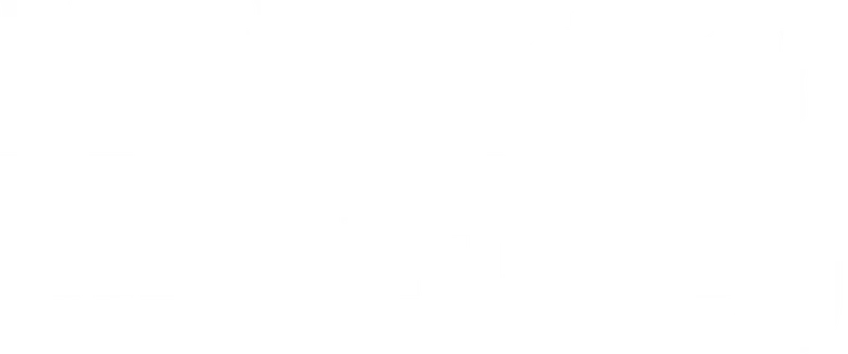 Undercover Miss Hong logo