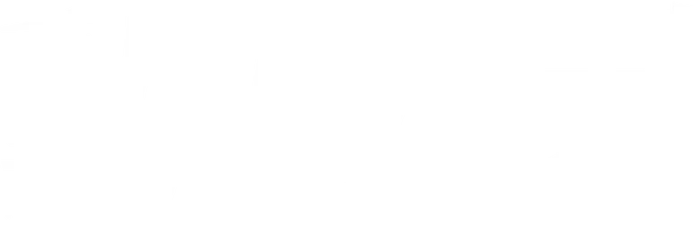 The Zoo logo
