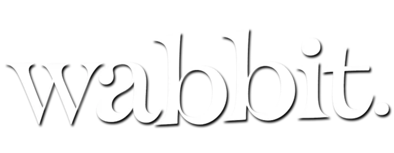 لوني تونز الجديد logo