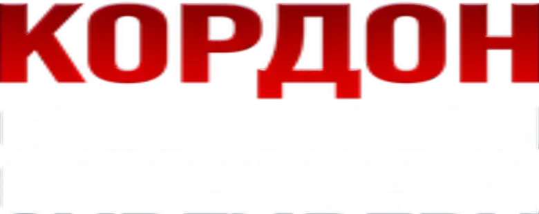 Кордон следователя Савельева logo