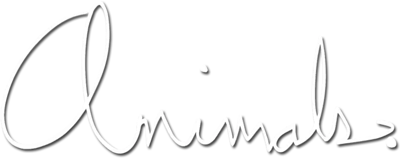Animals. logo