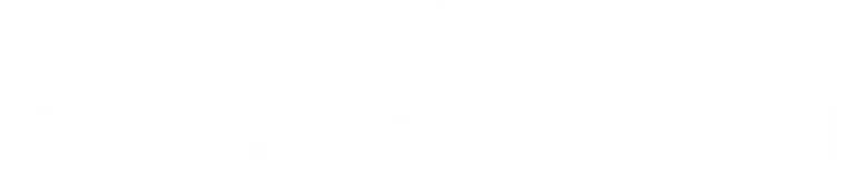 The Secret logo