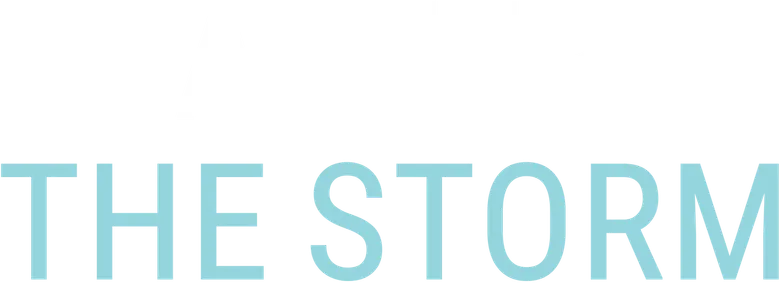 After the Storm logo