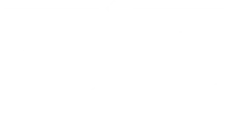 Bodo logo