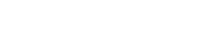 National Treasure logo