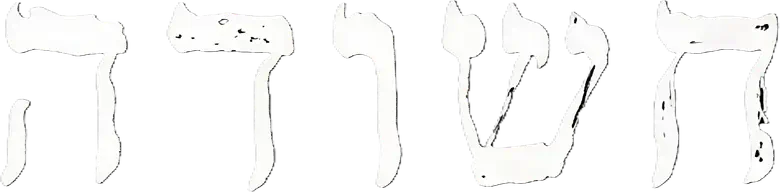 חשודה logo