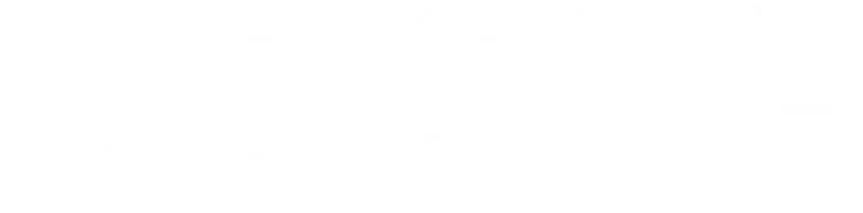 Rock Story logo