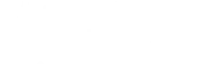 野性标志 logo