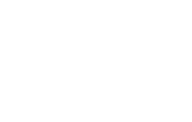 Reizen Waes logo