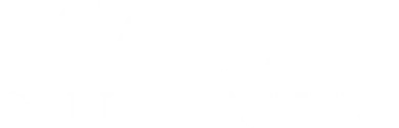Maine Cabin Masters logo