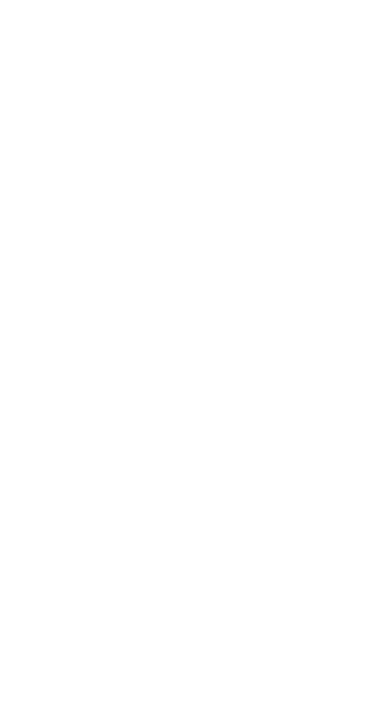 龙珠传奇之无间道 logo