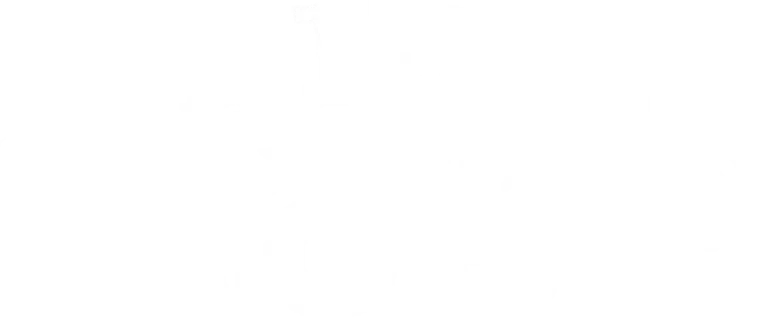 Dallas & Robo logo