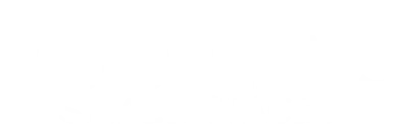 Big Dreams Small Spaces logo