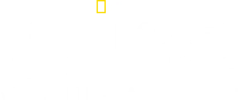 Michael Palin in North Korea logo