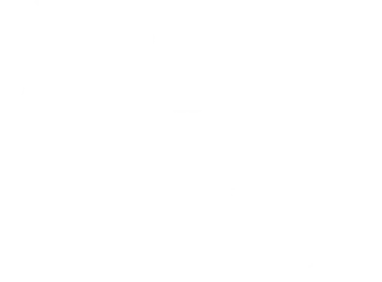 Ashes of Love logo
