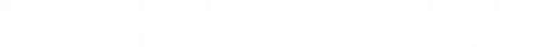 Wild Bill logo