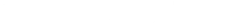 Citadel logo